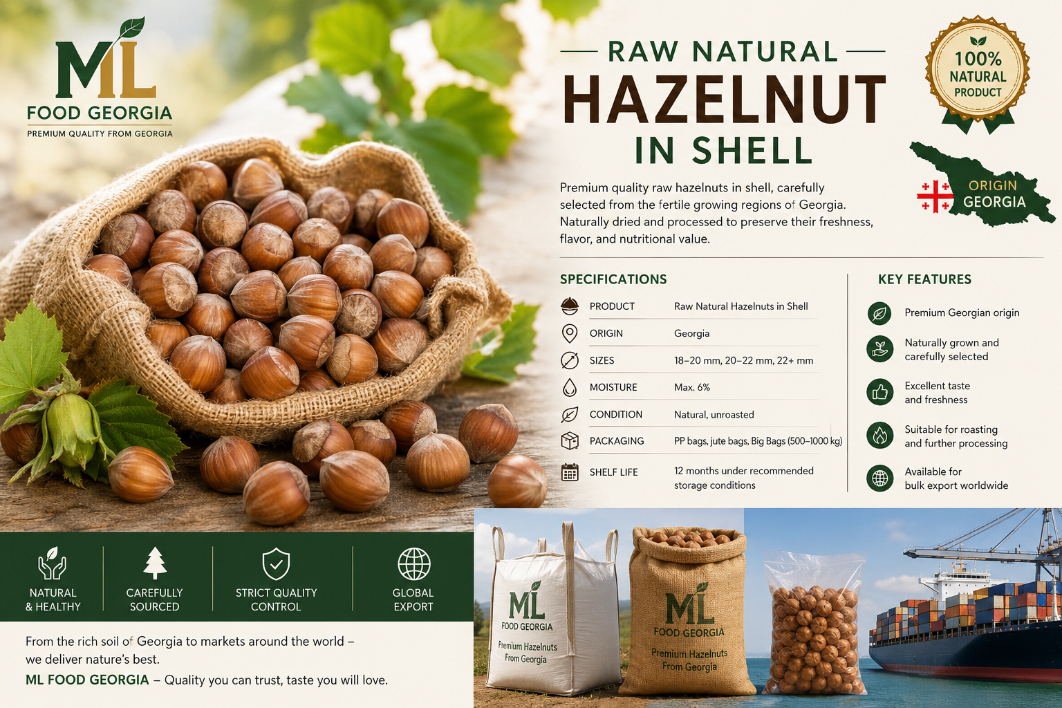 Raw Natural Hazelnut in Shell